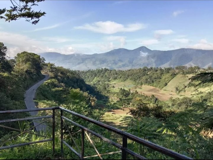 Binahon Agro-Forestry Farm